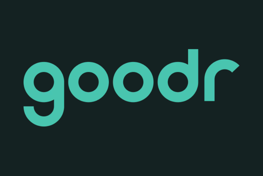 Goodr Single Lens Sunglasses | Run North West