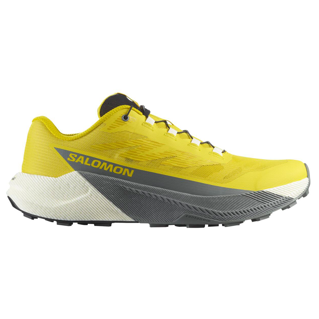 Salomon Mens PULSAR - Incaberry/Vanilla Ice/Sedona Sage - Trail - AW25