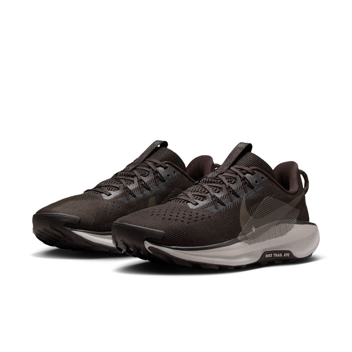 Nike Mens Pegasus Trail 5 - Velvet Brown/Ironstone/College Grey - Trail - HO25