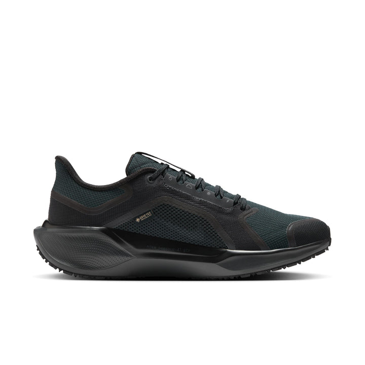 Nike Mens Pegasus 41 GTX - Black/Black/Anthracite - Neutral