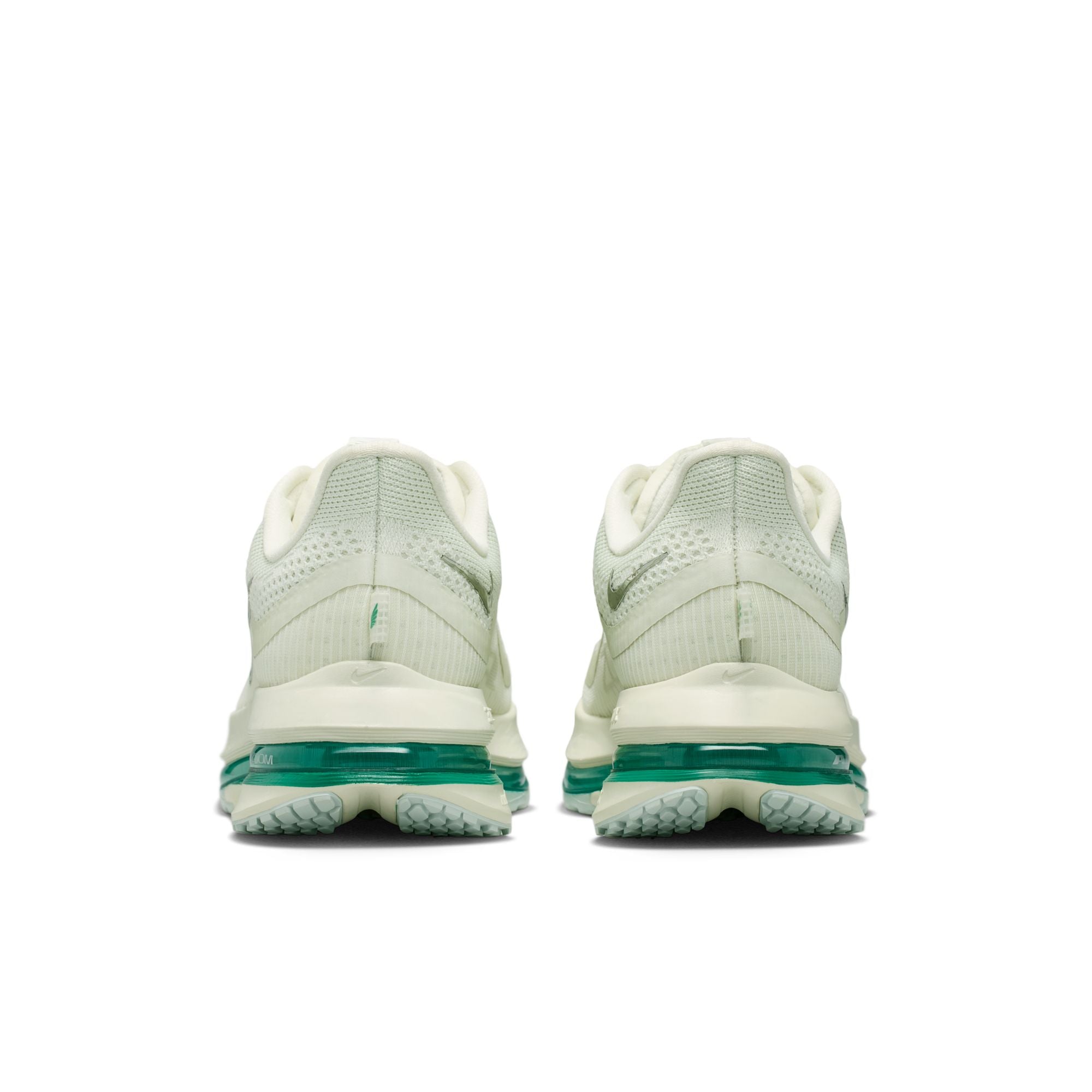 Nike Womens Pegasus Premium - Sea Glass/Metallic Silver/Malachite