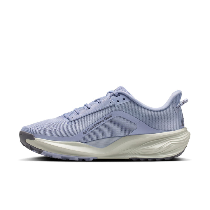 Nike Womens ACG Pegasus Trail - Ghost/Cement Grey/Mineral Slate - Trail - SU26