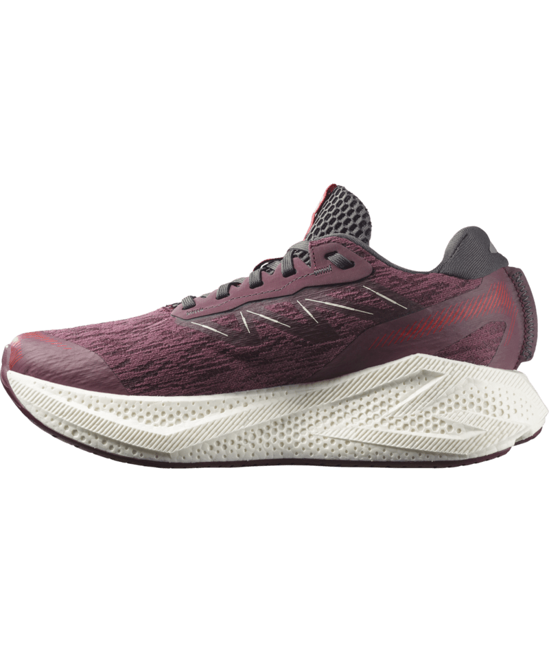 Salomon Womens Aero Glide 4 - Huckleberry/Vanilla Ice/Lava Falls - Neutral - AW26