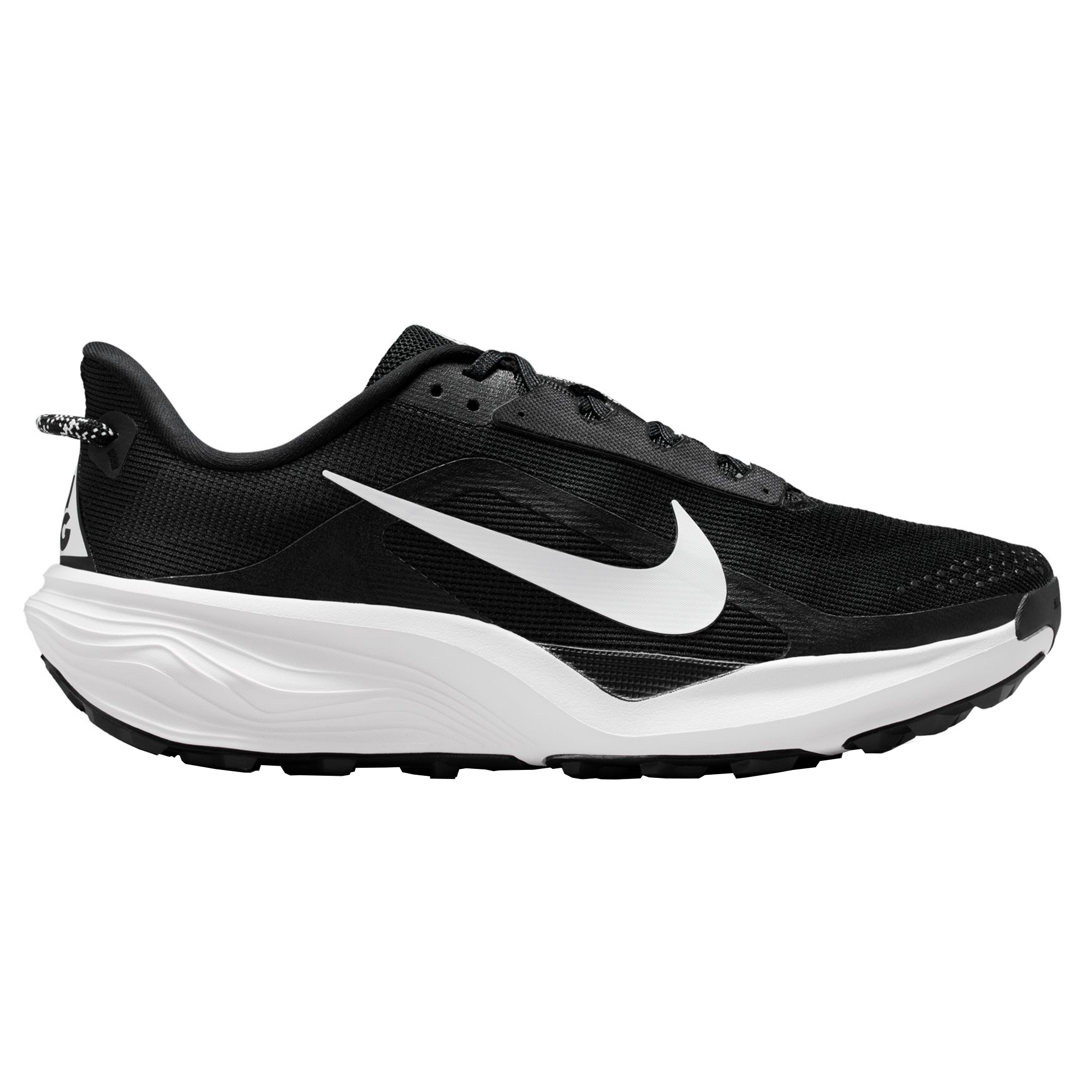 Nike Mens ACG Pegasus Trail - Black/Summit White/Anthracite - Trail - SU26