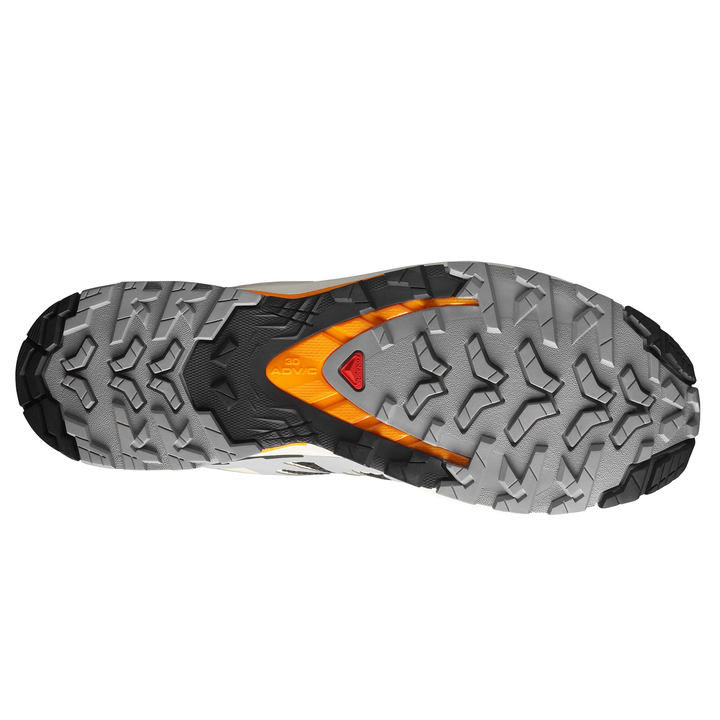 Salomon Herren XA Pro 3D V9 – Schwarz/Gull/Kurkuma – Trail – AW25