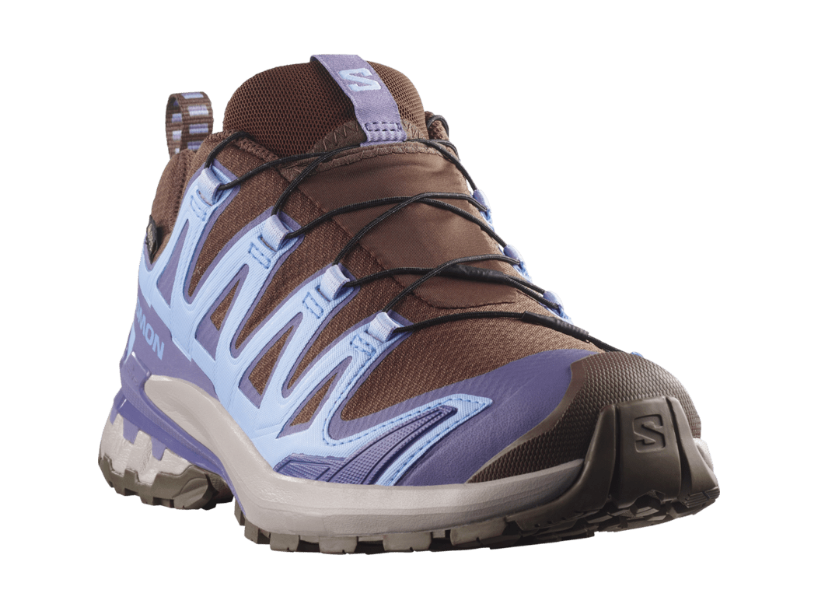 Salomon Womens XA Pro 3D V9 GTX - Dark Earth/Brunnera Blue/Heron - Trail - AW26
