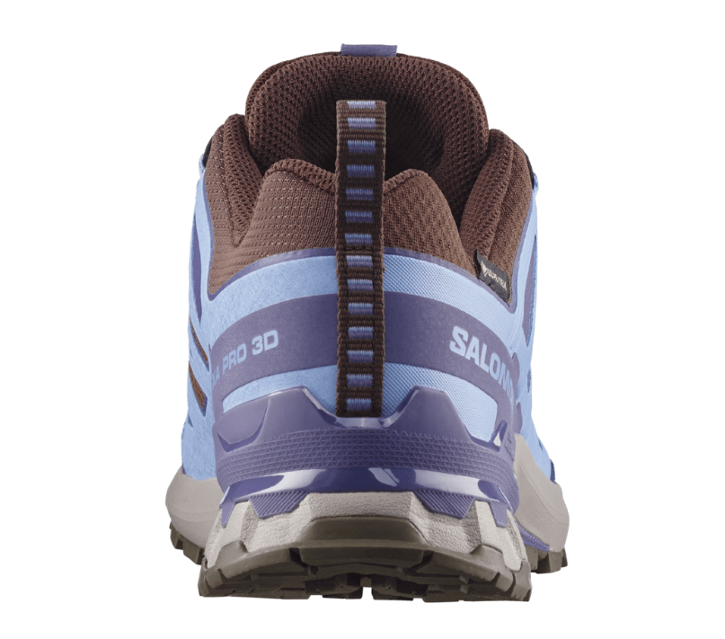 Salomon Womens XA Pro 3D V9 GTX - Dark Earth/Brunnera Blue/Heron - Trail - AW26