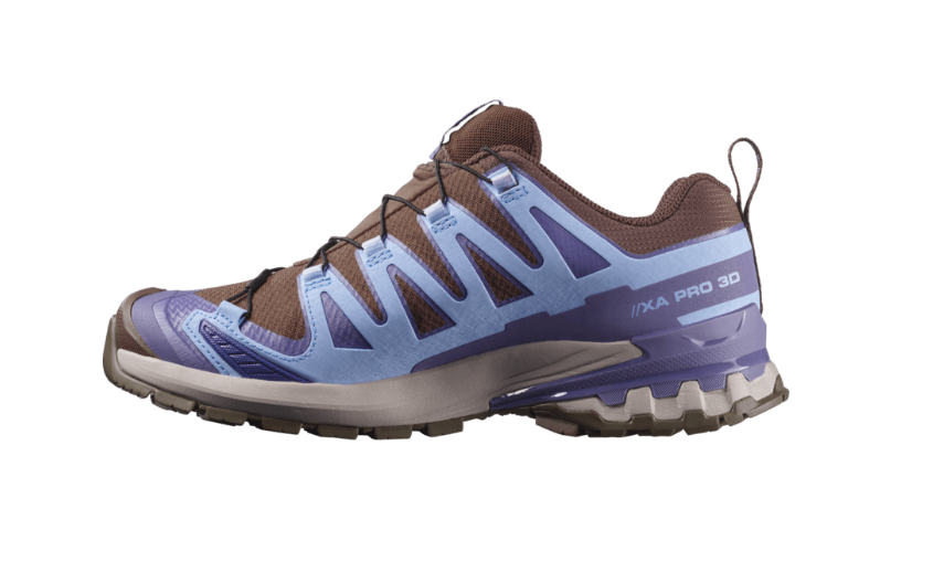 Salomon Womens XA Pro 3D V9 GTX - Dark Earth/Brunnera Blue/Heron - Trail - AW26
