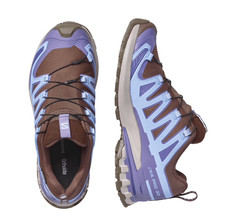 Salomon Womens XA Pro 3D V9 GTX - Dark Earth/Brunnera Blue/Heron - Trail - AW26