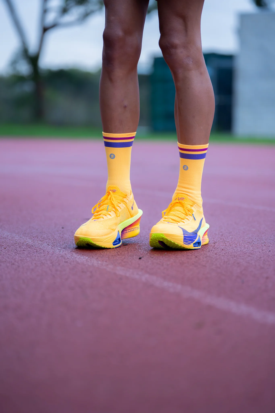 SHYU Racing Quarter Crew Socks - Amber/Eggplant/Claret
