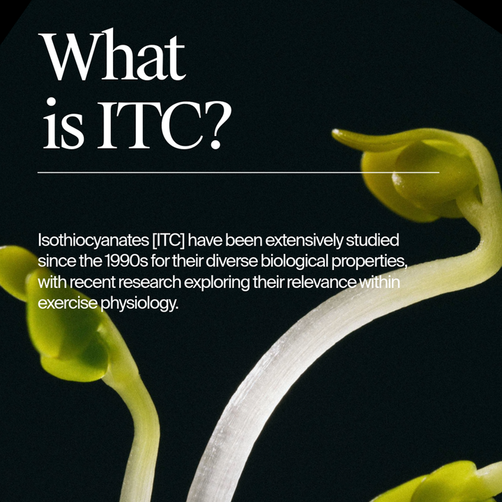 Nomio - 100ml - Box of 4 Servings