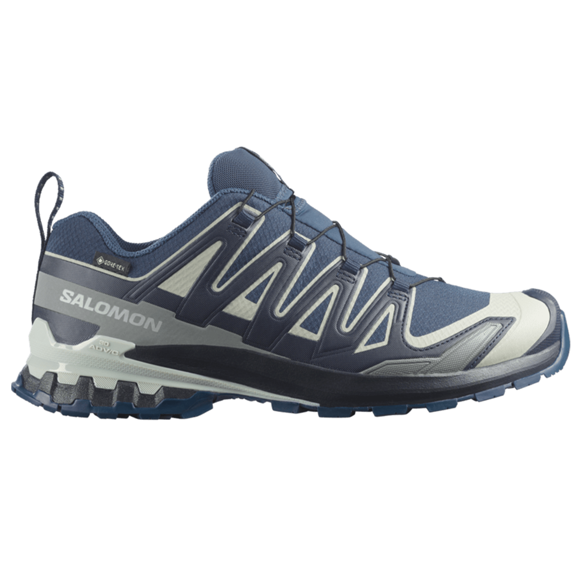 Salomon Mens XA Pro 3D V9 GTX - Spellbound/Maritime Blue/Wrought Iron - Trail - AW26