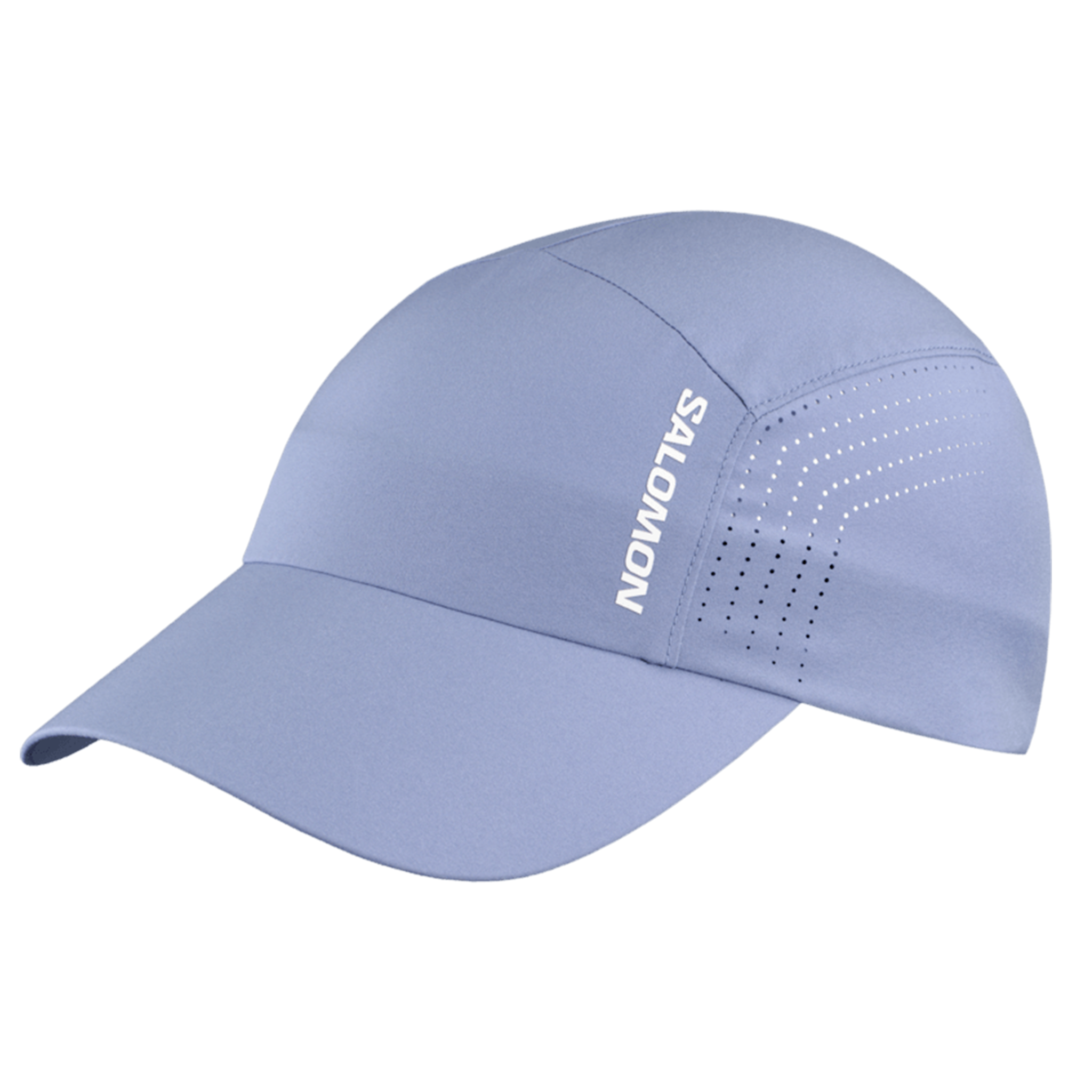 Salomon Unisex Shakeout Cap - Tempest